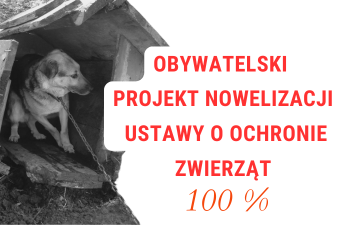 Gratuluję, wspieram i jestem przygotowana - zmiany w Ustawie o Ochronie Zwierząt